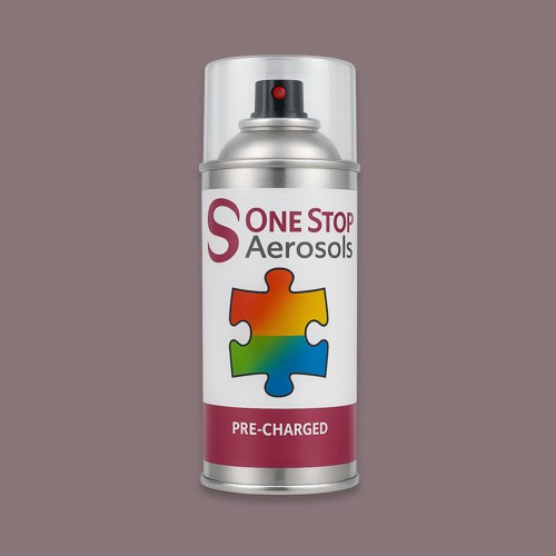 NCS S 5010-R10B Aerosol Spray Paint