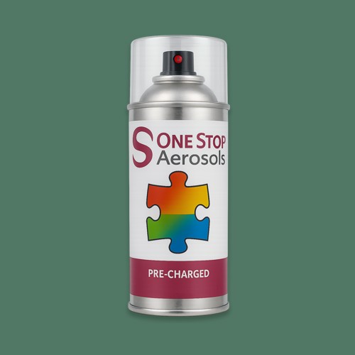 NCS S 5020-G Aerosol Spray Paint