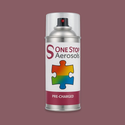 NCS S 5020-R10B Aerosol Spray Paint