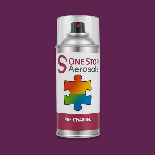 NCS S 5040-R40B Aerosol Spray Paint