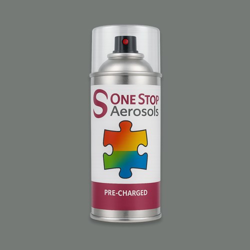 NCS S 5502-G Aerosol Spray Paint