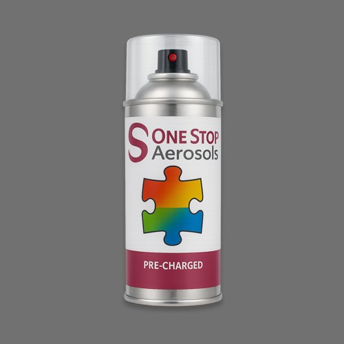 NCS S 6000-N Aerosol Spray Paint