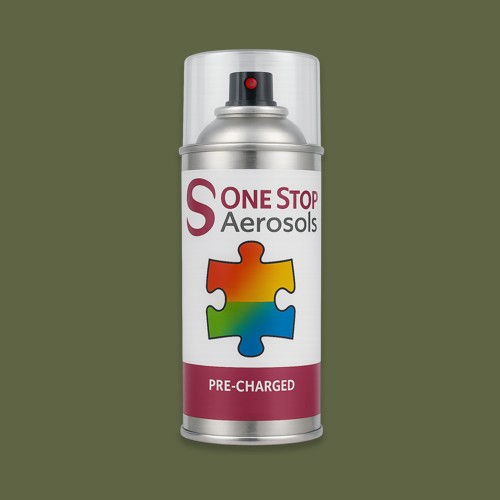 NCS S 6020-G50Y Aerosol Spray Paint
