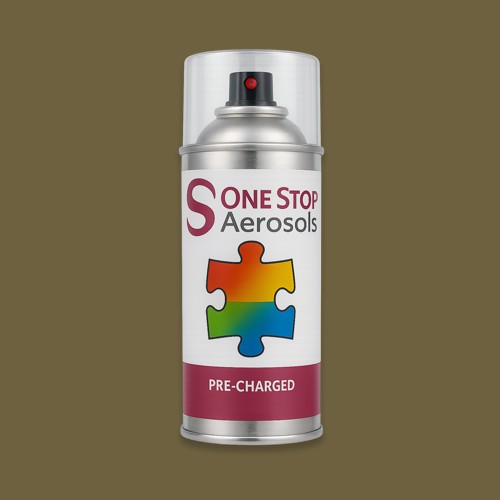 NCS S 6020-G90Y Aerosol Spray Paint
