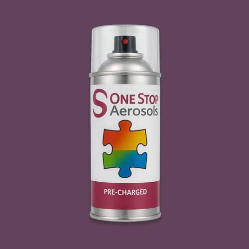 NCS S 6020-R40B Aerosol Spray Paint