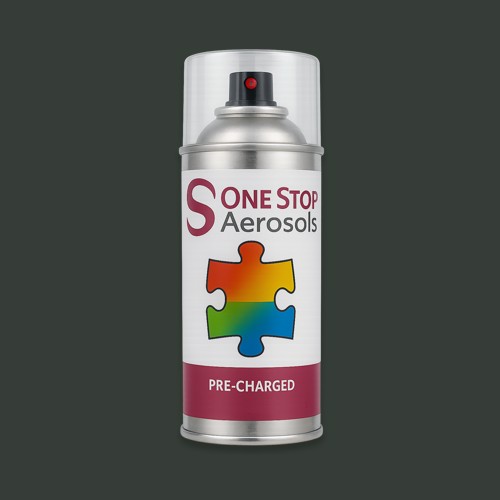 NCS S 8005-G20Y Aerosol Spray Paint