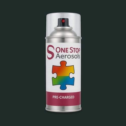NCS S 8505-B80G Aerosol Spray Paint