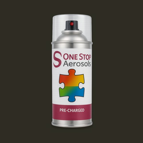 NCS S 8505-G80Y Aerosol Spray Paint