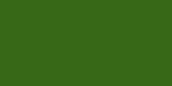 British Standard 381C Light Brunswick Green 225 Aerosol Spray Paint Colour Swatch
