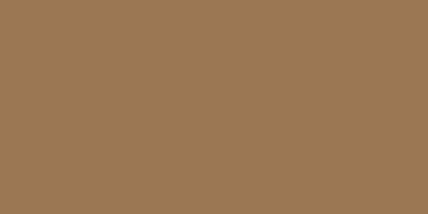Master Chroma CN8310 - Brown 8310 Aerosol Spray Paint Colour Swatch