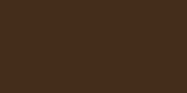Master Chroma CN8645 - Brown 8645 Aerosol Spray Paint Colour Swatch