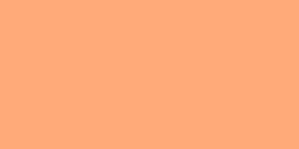 Master Chroma CO2410 - Orange 2410 Aerosol Spray Paint Colour Swatch