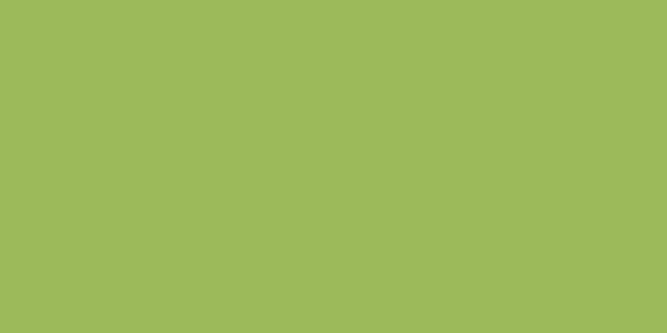 Master Chroma Isofan - G6538 - Green Paint colour swatch
