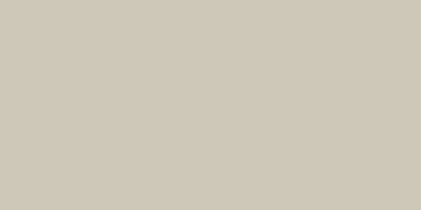 Master Chroma Isofan - N9168 - Neutral Paint colour swatch