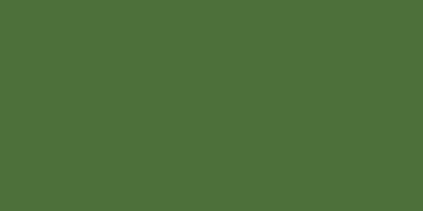 RAL 6010 Grass Green Aerosol Spray Paint Colour Swatch
