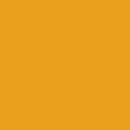 Federal Standard 595 A-13538 - Giallo Paint