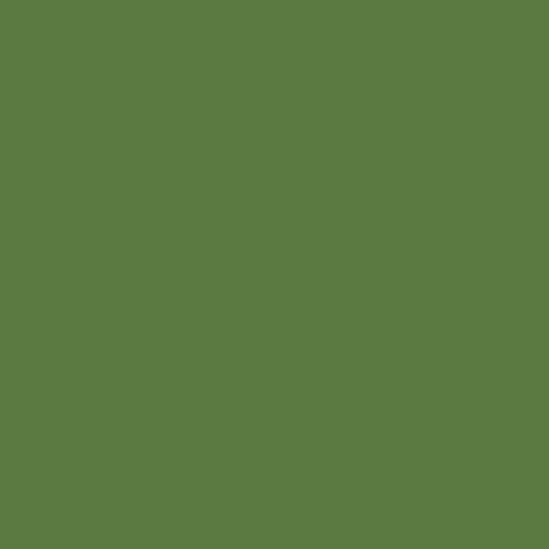 Federal Standard 595 B-14187 - Green Paint