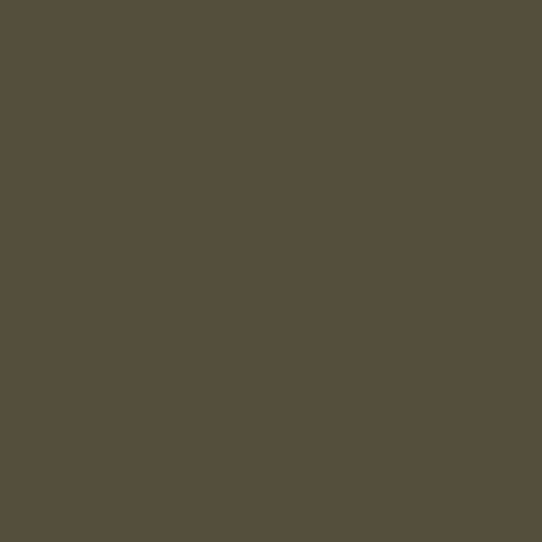Federal Standard 595 B-33070 - Army Green Mat Paint