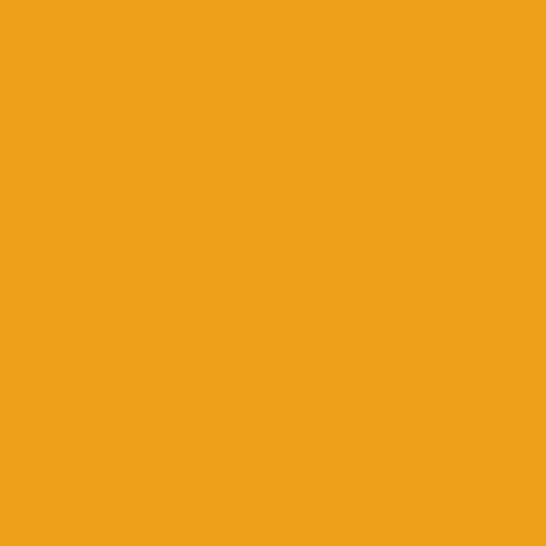 Federal Standard 595 B-33538 - Yellow Mat Paint