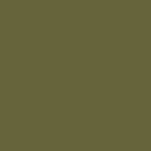 Federal Standard 595 B-34151 - Olive Green Mat Paint