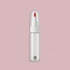 AFNOR A860 - Rose Pourpre Gris Paint Touch up & Repair Pen
                            