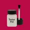 AFNOR A820 - Rose Rouge Paint Tester Pot