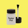 British Standard 381C Grapefruit 315 Paint Tester Pot