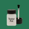 Master Chroma CG6500 - Green 6500 Paint Tester Pot