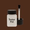 Master Chroma CN8620 - Brown 8620 Paint Tester Pot
