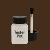 Master Chroma CN8645 - Brown 8645 Paint Tester Pot