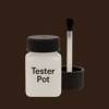Master Chroma CN8655 - Brown 8655 Paint Tester Pot