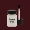 Master Chroma CR3765 - Red 3765 Paint Tester Pot
