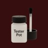 Master Chroma CR3770 - Red 3770 Paint Tester Pot