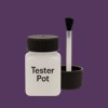Master Chroma CV4455 - Violet 4455 Paint Tester Pot