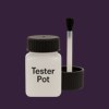 Master Chroma CV4485 - Violet 4485 Paint Tester Pot