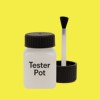 Pantone 101 Paint Tester Pot