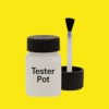 Pantone 102 Paint Tester Pot