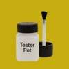 Pantone 103 Paint Tester Pot