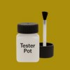 Pantone 118 Paint Tester Pot