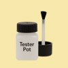 Pantone 1205 Paint Tester Pot