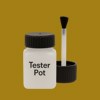 Pantone 1255 Paint Tester Pot