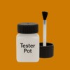 Pantone 1385 Paint Tester Pot