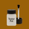 Pantone 1395 Paint Tester Pot