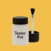 Pantone 142 Paint Tester Pot