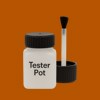 Pantone 1525 Paint Tester Pot