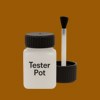 Pantone 154 Paint Tester Pot