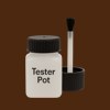 Pantone 1545 Paint Tester Pot