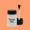 Pantone 163 Paint Tester Pot