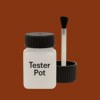 Pantone 1685 Paint Tester Pot