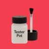 Pantone 1787 Paint Tester Pot